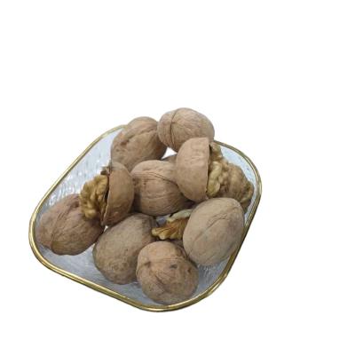 China New varieties of high quality low price dried nuts 2021 organic original supply factory direct sales for sale