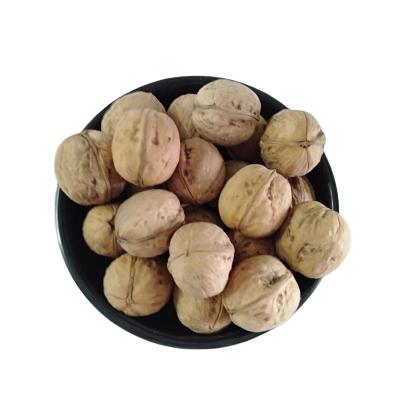 China Dried Walnut Supplier Washed Xin2 Walnut Inshell (Walnut Supplier) 32mm+ With 25KGS Package From China for sale