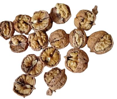 China Walnut Export 100% Yunnan White Walnut Inshell Dry Natural Kernel for sale