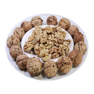 China Dried 2021 YnuNan Organic Fresh Walnut Chinese Walnut Walnuts for sale