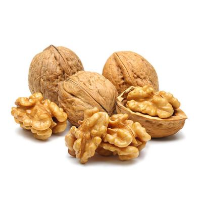 China SUGO Shell Fresh Delicious Nutrition Chinese Walnut Dry Thin Northern Kernel for sale