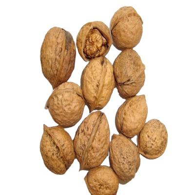 China 2021 new crop factory sale white walnut kernel dry whole walnut in shell 32mm for sale