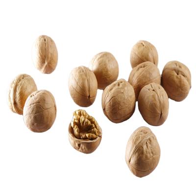 China Wholesale Price Walnut Kernel Dry Chinese North Type In Shell for sale