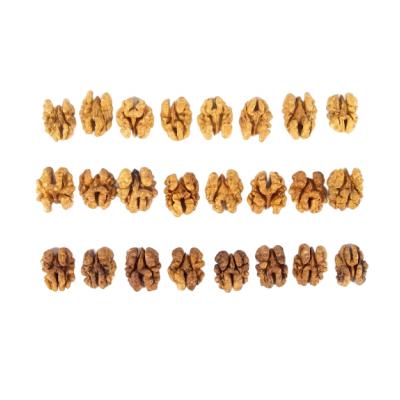 China Butterfly and quarters extra light amber color dried walnut kernel for sale