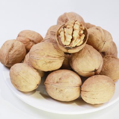 China HACCP Organic Walnut Snacks High Quality Chinese Walnut Kernels Dry Raw Walnut Kernel for sale