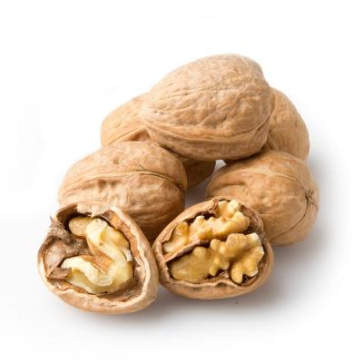 China Fresh Whole Nut Halves Dry Raw Kernels Fruit Walnut Halves High Quality Organic Walnut Kernel Without Shell for sale