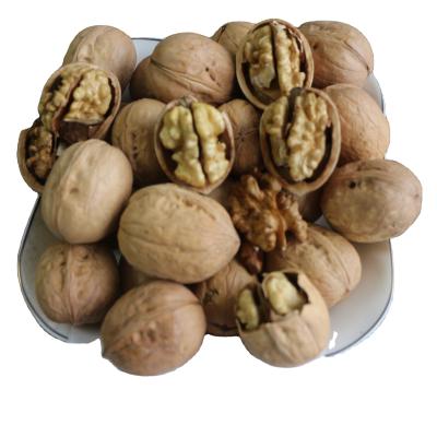 China Excellent Quality Thin-Skin Dried Raw Walnut With Shell In Bulk Wholesale for sale