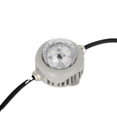 China LANDSCAPE Pixel String Light Addressable Led Pixel Led Light Controller for sale