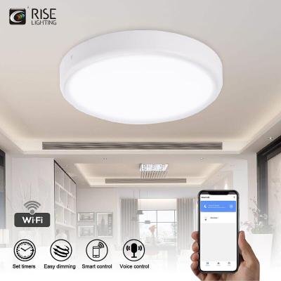 China Outdoor Mounted Round And Semicircle 28W Dimmable Color Changing IP54 400mm LED Ceiling Light for sale