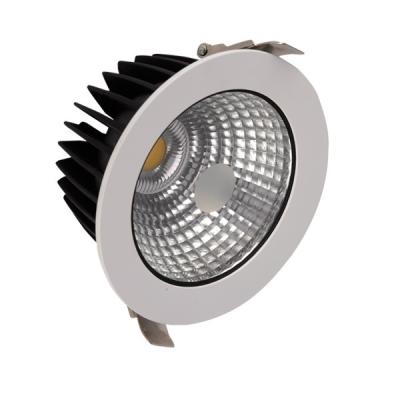 China RECESSED 250mm 10inch IP54 IP Rating And LED Light Source Dimmable Led Ceiling Downlight for sale