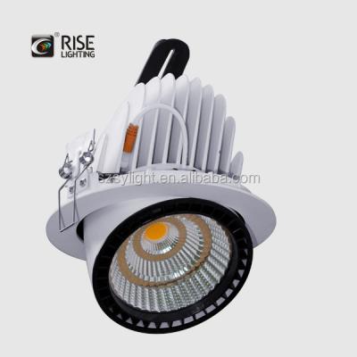 China Residential Gimbal Version COB Led Wall Washer Downlight 170mm Cutout Adjustable 90 Degree Recessed Ceiling for sale