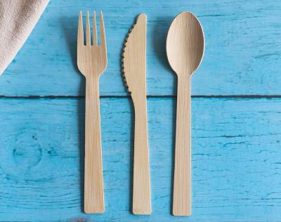 China Eco-friendly Ethink Disposable Bamboo Tableware And Knife Cutlery Spoons Forks 170mm for sale