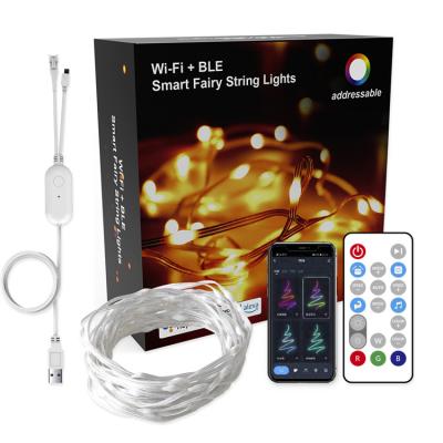 China LANDSCAPE Smart Led Light String Rgb+ic Led Colorful Christmas Holiday Lighting Fairy Lights Smart String for sale