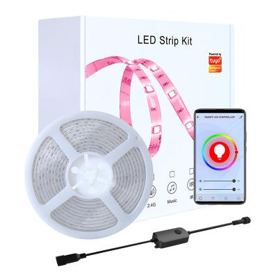 China LANDSCAPE 12v TV background light 5m background light sync APP smart wifi LED remote control music light strip for sale