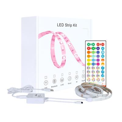 China LANDSCAPE RGB Music Sync Led Decorative Strip Light For Holiday Lighting IR Remote Control Led Strip Light for sale