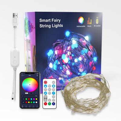 China LANDSCAPE Fairy Lights Smart String RGB Led Colorful Christmas Holiday Lighting Smart Led Light Strip for sale