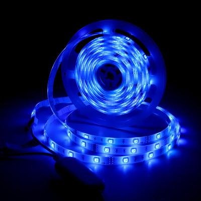 China LANDSCAPE DIY decor smart home led light strip rgb wifi+ble music control holiday lighting for sale