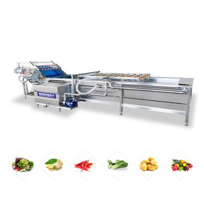 China Automatic Dates Fruit Seal High Efficiency Dried Apricot Dryer Sweet Potato Washing Olive Drying Line Cleaning Line for sale