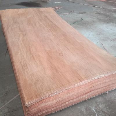 China Plywood face wood bintangor, plb, okoume, gurjan veneer for sale