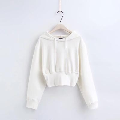 China Custom Women Anti Shrink Shear Wide Cropped RIB Hem Drawstring Pullover Hoodie Crop Top Shirt Long Sleeve Sweatshirt for sale