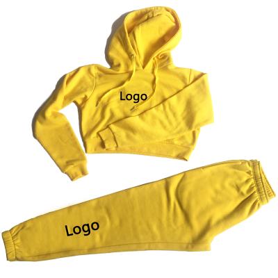 China Women Anti-UV Jogging Sets Custom Design Logo Crop Top Jogger Fleece Hoodie Pants 2 Piece Set Tracksuits for sale