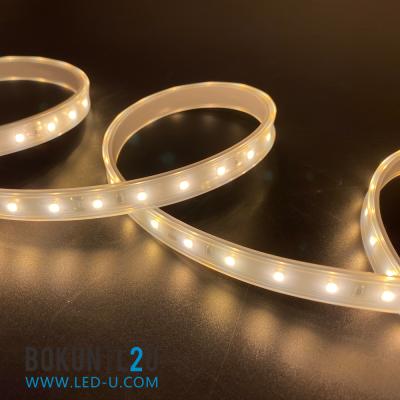 China BOKUN hotel led 2400K outdoor IP66 waterproof LED strip light 2835-60-10mm for decoration led strip light for sale