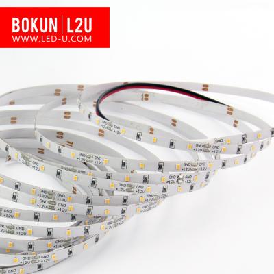 China LANDSCAPE 5mm DC12V LED Strip Light 60led/m RA90 SMD2216 PCB Mini Narrow Flexible LED Strip Rope Light for sale