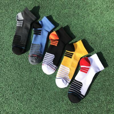 China QUICK DRY popular performance colorful sports novelty men's fashion cotton fashion crew socks for sale