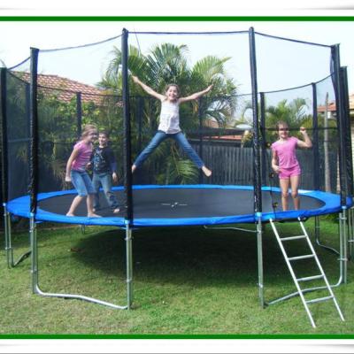 China PVC Big Bounce Four Star Home Trampolines 16FT For Sale for sale