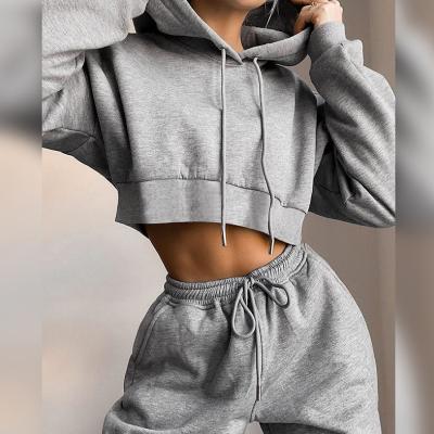 China 2020 Winter Sustainable Apparel For Women Customized Hoodie Crop Top And Pants Women Two Piece Set for sale