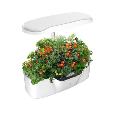 China 2022 Hot Sale Modern Indoor Hydroponics System Modern Indoor Growing Kits Grow Kits Food Hydroponics Growing Kits for sale