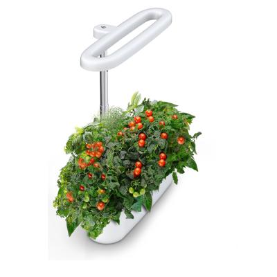 China Modern the most popular modern countertop garden easy to use and has a soft tailored shape and small footprint to fit in any kitchen for sale