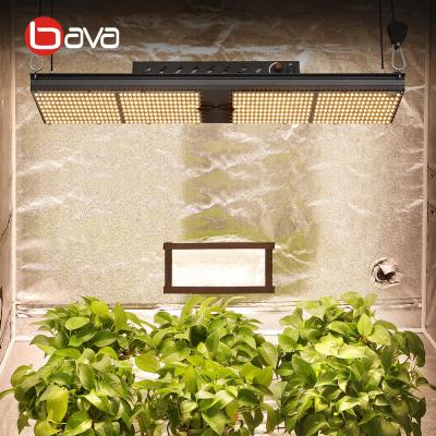 China Seed Starting Seed Start Full Spectrum BAVA China Samsung Lm301h 3000K 240W Comercial Good Harvest Veg Led To Grow Light For Indoor Green Garden for sale