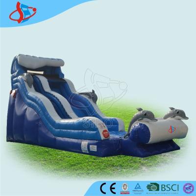 China Strong Inflatable Dry Slides for sale