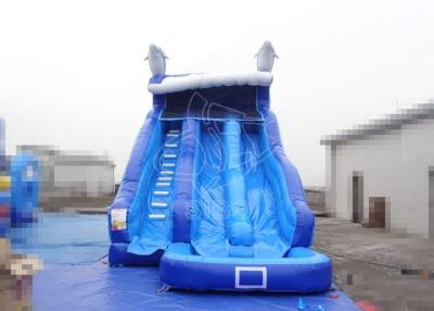 China Blue Toddler Inflatable Water Slides Moonwalk Bouncy Water Slide Games for sale