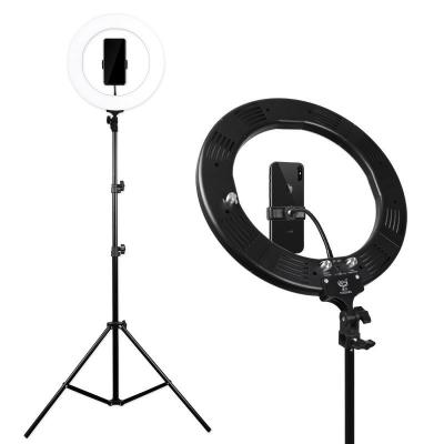 China Photography 10 Inch/26 cm LED Ring Light Live Video Studio Make Up Light with Table Tripod for sale