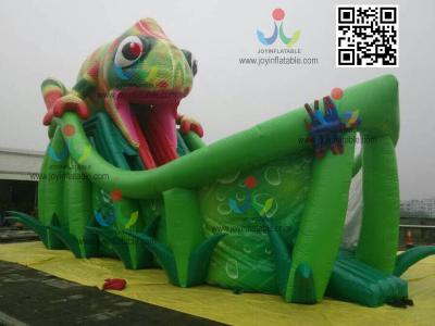 China China Inflatable Lizard Slide China Inflatable Slide China Inflatable Game slide-180 for sale