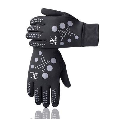 China Wolf Comfortable Day Running Outdoor Sport Touch Test Gloves Fitness Gloves for sale