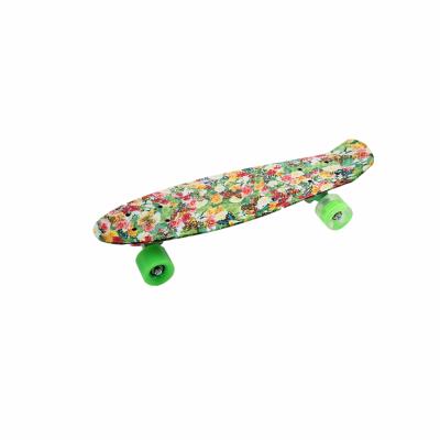 China Youth Skateboard Wholesale Full Set Skateboard Pint Skateboards For Sale Manufacturers for sale