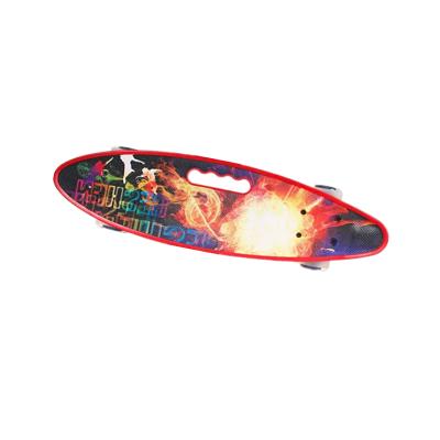 China Youth handle to skateboard 24inch boards colorful fish skate plastic board for sale for sale