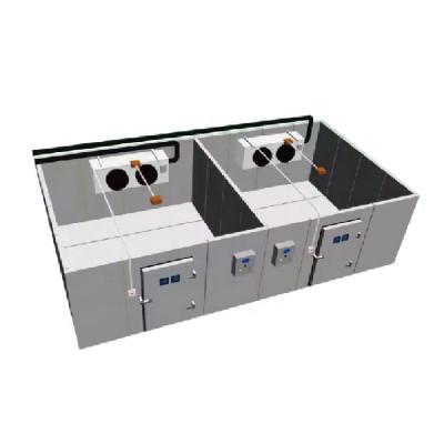 China Double-temperature Customized Chiller Freezer Frozen Cold Freezer Room for sale