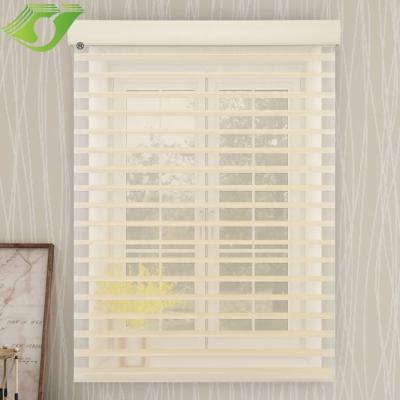 China Blackout / Semi Blackout Living Room Shade Motorized Home Custom Decorative Window Shades Shangri-La Roller Blinds for sale