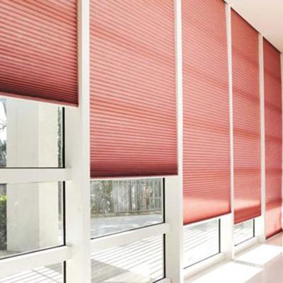 China High Quality Cellular Blackout Shades Low Day And Night Top Bottom Up Honeycomb Blinds for sale