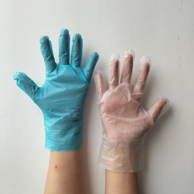 China Food Grade Eco - Friendly Waterproof Transparent Strip Kitchen Plastic Disposable Glove for sale