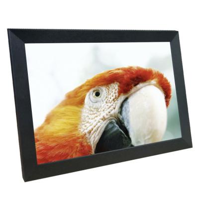 China MP3 Sell 10 Inch Bulk Cloud Digital Photo Frame GIF Digital Picture Frame for sale