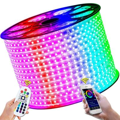 China Residential Plastic Indoor Outdoor Color Changing Flexibility Lights 110V 220V Biumart RGB Waterproof Led Strip Lights With Remote Control for sale