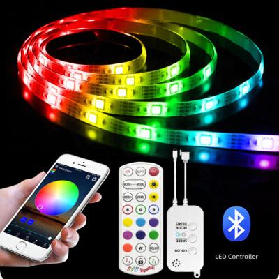 China Hot-selling LANDSCAPE Biumart LED 10m 300 LED RGB Lights SMD 5050 Waterproof Flexible Strip Light for Landscape Home Decoration for sale