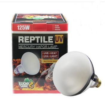 China Mass Production Viable R115 125W Self-Weighted Reptile UVB Mercury Vapor Bulb Lamp For Live Reptiles for sale