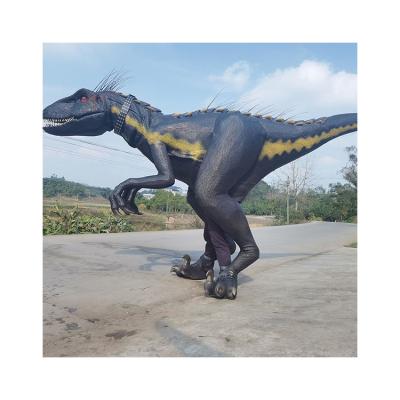 China High Quality Life Size Chinese 3d Dragon Black Tyrannosaurus Rex Case For Theme Park Amusements for sale