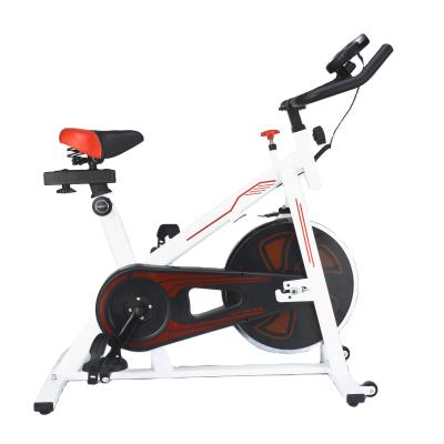 China Offer High Quality Home Use Magnetic Exercise Eilison Professional Indoor Spin Bikes for sale